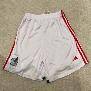 Mexico World Cup 2022 shorts